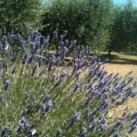 L'infinito Bed & Breakfast Civitanova Alta