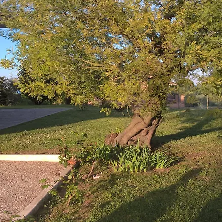L'infinito * Civitanova Alta